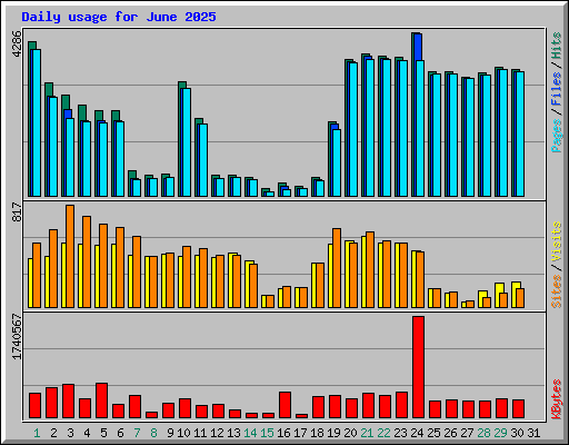 Daily usage for June 2025