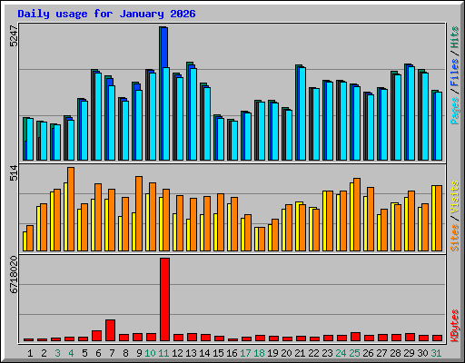 Daily usage for January 2026