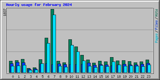 Hourly usage for February 2024