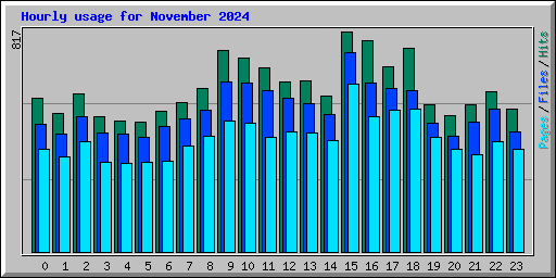 Hourly usage for November 2024