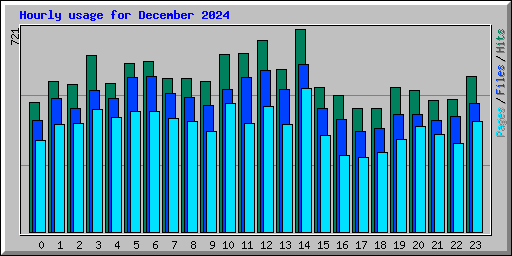 Hourly usage for December 2024