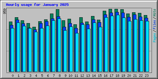 Hourly usage for January 2025