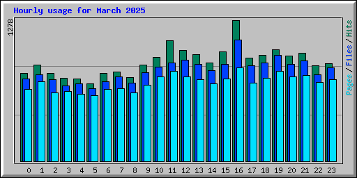Hourly usage for March 2025