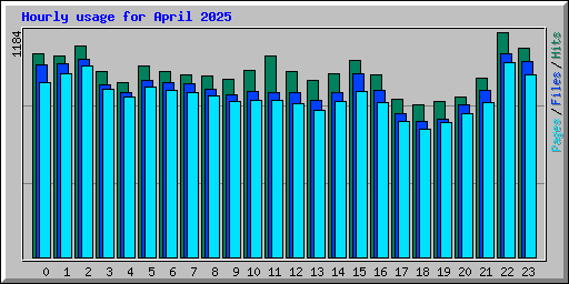 Hourly usage for April 2025