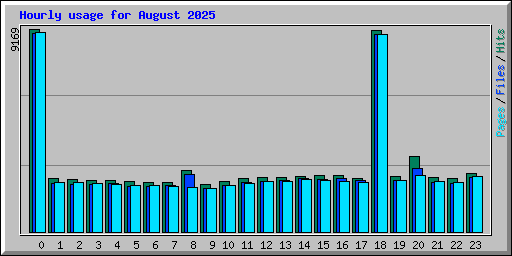 Hourly usage for August 2025